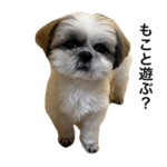 もこ〜はじめてのスタンプ〜