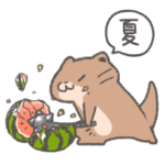 過激で過保護なカワウソスタンプ-夏‐