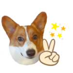 コーギーのこぎくん2