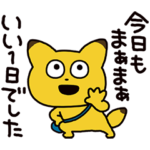 金田こんの１日