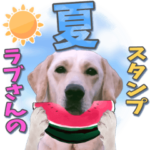 ラブさんの夏スタンプ