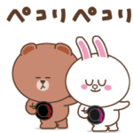 すこやかに動く★ブラウン&コニー 9