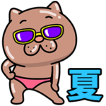 ウザ～～い猫の夏