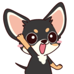 いやしの日常 チワワ  編3