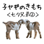 子ヤギのきもち吉懸牧場5