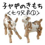 子ヤギのきもち吉懸牧場4