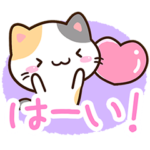 小さい三毛猫のあいさつ