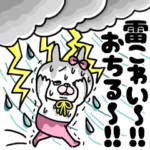 うさもかちゃん㉚