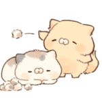 動く♫となりのにゃんこ♡クリーム３