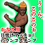 かなこ用ウンコハゲマッチョ