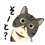 博多弁が話せるラッキー