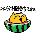 夏うんたねこスタンプ17