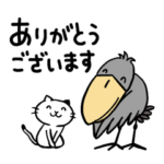 ハシビロコウと猫