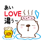 ラッコさんとアヒルちゃん＠関西在住