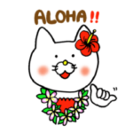 木村さんちのねこ 