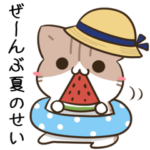 毎日五月病なねこたち 夏