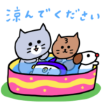 灰色キャットのわくわくサマー