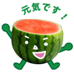 実写スイカのスイカ君