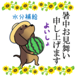 激しく尻尾をふるイヌ 