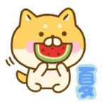 夏に使えるゆる柴犬