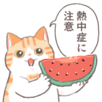 夏の気遣い！猫のトミー