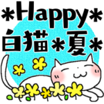 ハッピー白猫＊夏