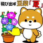 豆柴の飛び出すスタンプ「夏」
