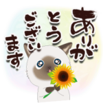 ちびニャンず♡夏のご挨拶-筆文字-