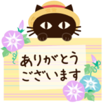 大人の黒ねこ×Summer