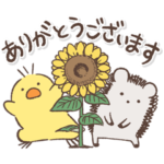 ヒヨハリ！夏編