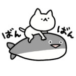 しょぼいねこの夏休み