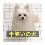 字幕犬 やや使いやすいver2