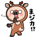 しろめちゃん　どうぶつダジャレ