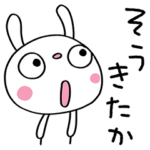 ツッコミ☆ふんわかウサギ