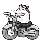 夏だ！怠惰なジャンガリアンハムスター