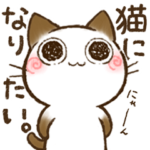 ちょこさん。～猫になりたい猫～