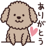 もふもふ♡トイプー