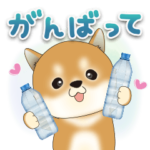豆柴ちゃんず♡飛び出す夏スタンプ