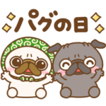 動く♡毎日パグの日