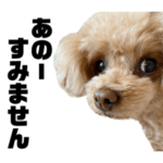 マルコのスタンプ2