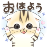 すこちぃ♡ちびニャンず毎日使えるスタンプ