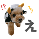 ねおん様のスタンプ