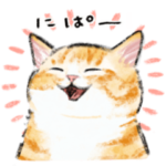 うちの子茶白猫！