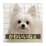 かわいいだけのスタンプ