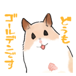 怠惰なゴールデンハムスター