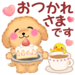 かわいいトイプードル❤️優しい日常言葉