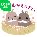 うさぎさんから連絡が！