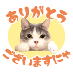 BAKENEKO CAFE2～使いやすい～