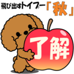 飛び出すトイプー「秋」