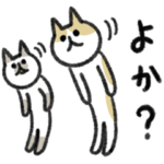 シュッとしたネコ　博多弁